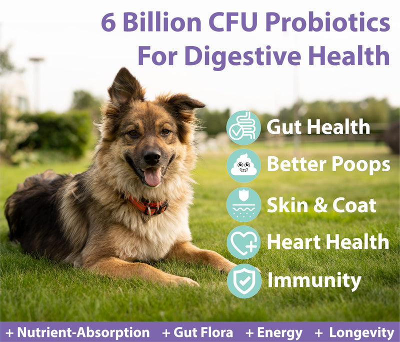 Googipet 2 Pack Bundle - 3 in 1 Probiotics for Dogs + 10 in 1 Multivitamin for Dogs (180 Vitamins)