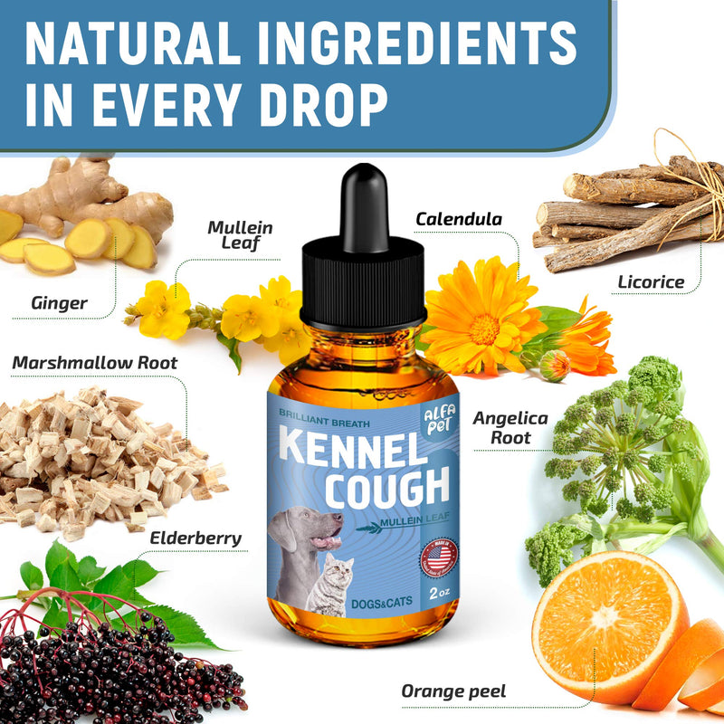 Dog Cough - Kennel Cough - Dog Allergy Relief - Supplements For Dogs & Cats Health - Allergy Relief Immune Supplement for Dogs - for Dry, Wet & Barkly Pet Cough - Suitable For All Sizes - PawsPlanet Australia