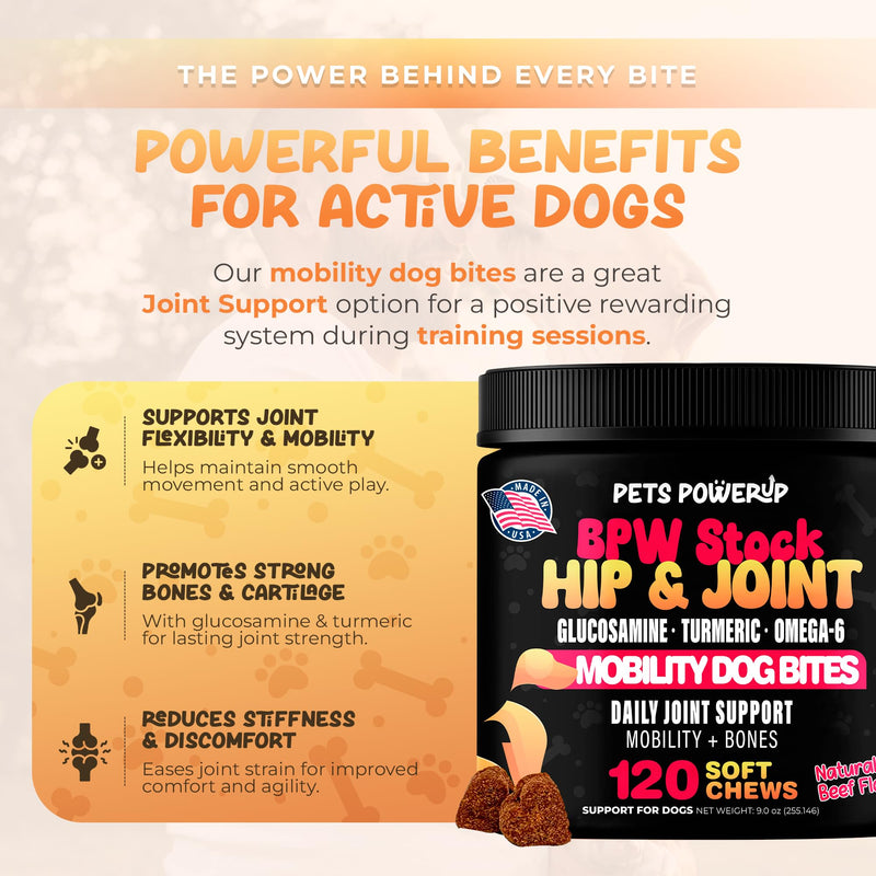 Hip & Joint Mobility Dog Vitamins and Supplements (120 Ct) Dog Bites Soft Chews Treats with Glucosamine Chondroitin MSM Turmeric Omega 6 Dog Joint Supplement for Small Medium Large Dogs
