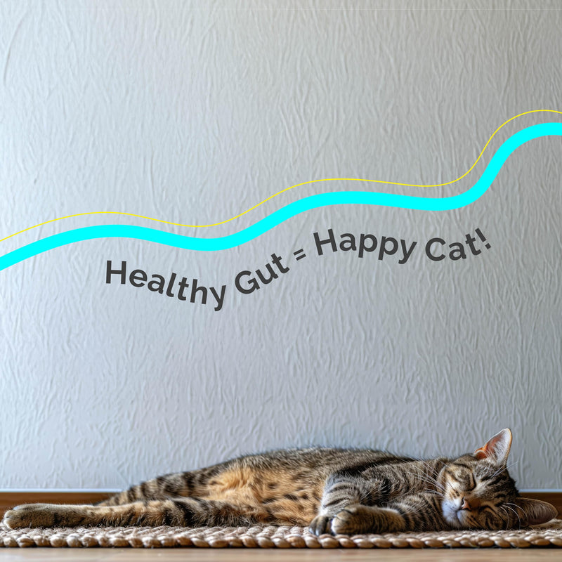 Digestive Health & Immune Support Supplement Probiotic Powder for Indoor and Outdoor Cats | 6 Billions CFUs Probiotic Powder for Pets | Veterinarian Recommended | Great Tasting Formula