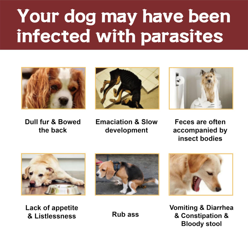Flea and Tick Prevention for Dogs, Flea and Tick Treatment for Extra Large Dog, Flea & Tick Control, 89-132 Pounds, 6 Doses extra large dog-6 Doses