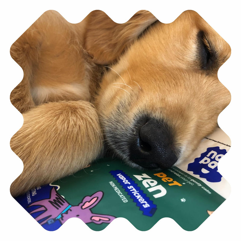 NATPAT Pet Zen Calming Patches for Dogs & Cats – Non-Medicated Effective Stress Relief for Travel, Fireworks & Separation Anxiety - Long Lasting & Non-Toxic (24 Patches) - Locket Sold separetely - PawsPlanet Australia