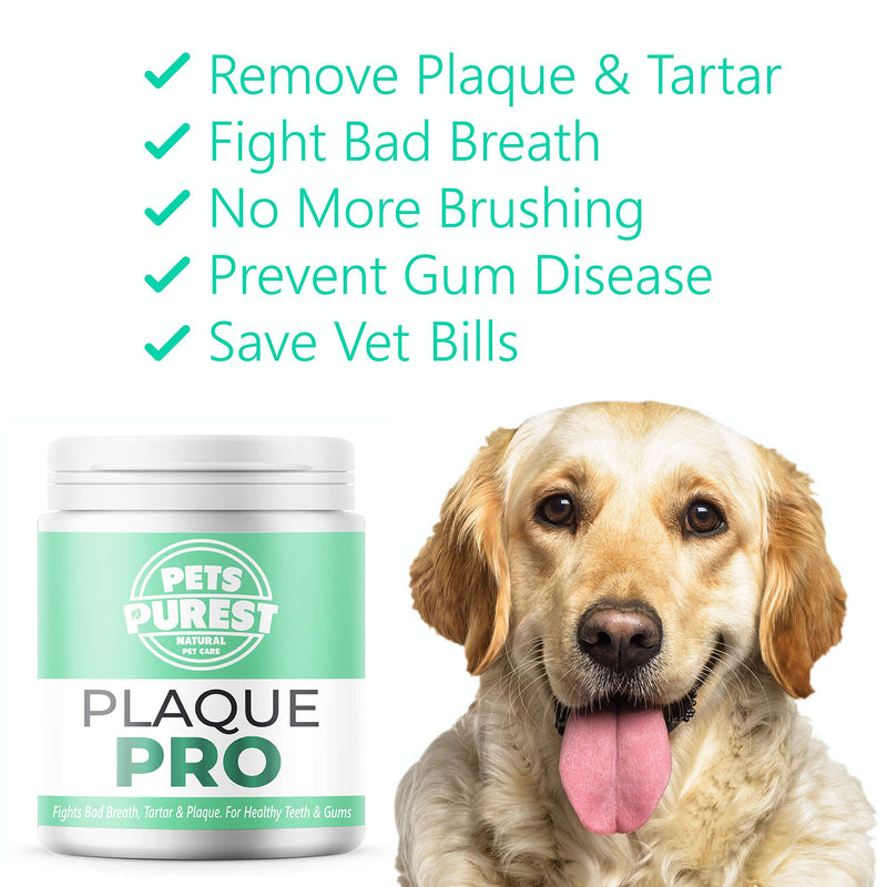 Pets Purest Plaque Off Powder - Plaque Pro Tartar & Plaque Remover for Dogs, Cats & Pet. 100% Natural Bad Breath, Teeth & Gum Disease Oral Health Hygiene Dental Care Formula - 180g - PawsPlanet Australia