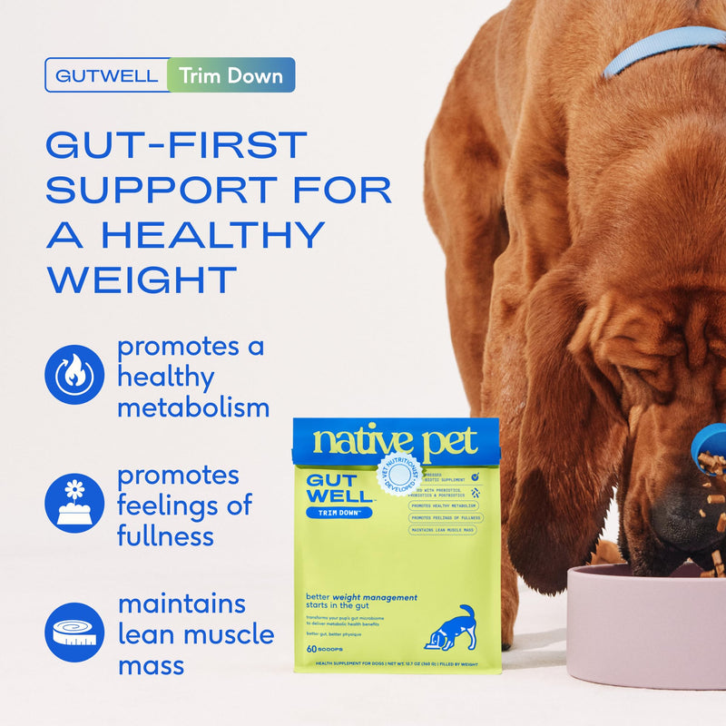 Native Pet Slim & Wellness Trio: 60 Scoops GutWell Trim Down Dog Weight Loss Supplement, 30 Scoops 11-in-1 Vitamins & Supplements & 8 Oz Omega 3 Fish Oil for Dogs & Cats