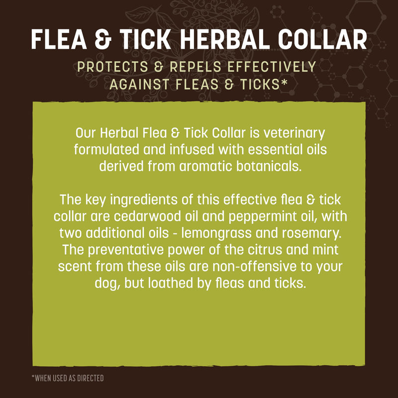 Earth Animal Apothecary Natural Flea & Tick - Herbal Collar for Medium Dogs - 1 Collar