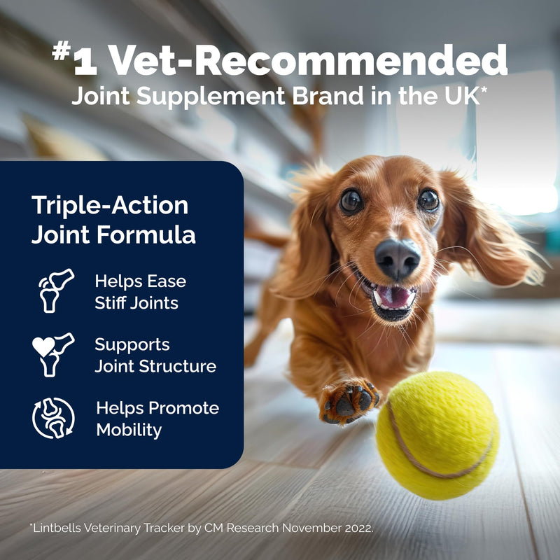 Glandex Anal Gland Soft Chews for Dogs (Peanut Butter, 60ct) + YuMOVE Advanced Strength Hip & Joint Supplement (90ct) | Digestive & Mobility Bundle