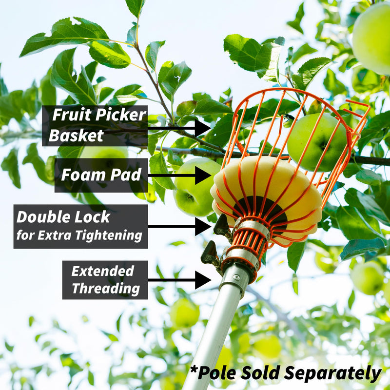 EXTEND-A-REACH Fruit Picker Basket Only // Twist-On Apple Picker Basket Only Fits Standard Acme Extension Pole // Fruit Tree Picker Tool for Orange Mango Avocado Lemon Pear (Pole Sold Separately)