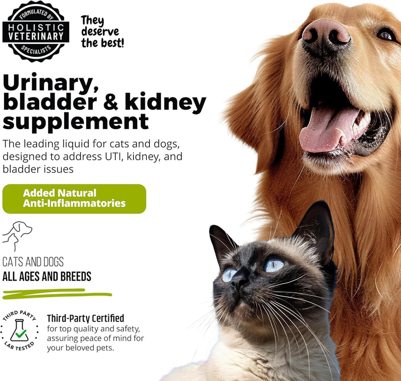 UroMAXX, Cat & Dog Urinary Tract Treatment, Bladder & Kidney Support for Dogs and Cats, Powerful Yet Gentle Pet Care, with Liquid Cranberry & Glucosamine, Salmon Flavor, 6 oz Bottle, 1 Pack