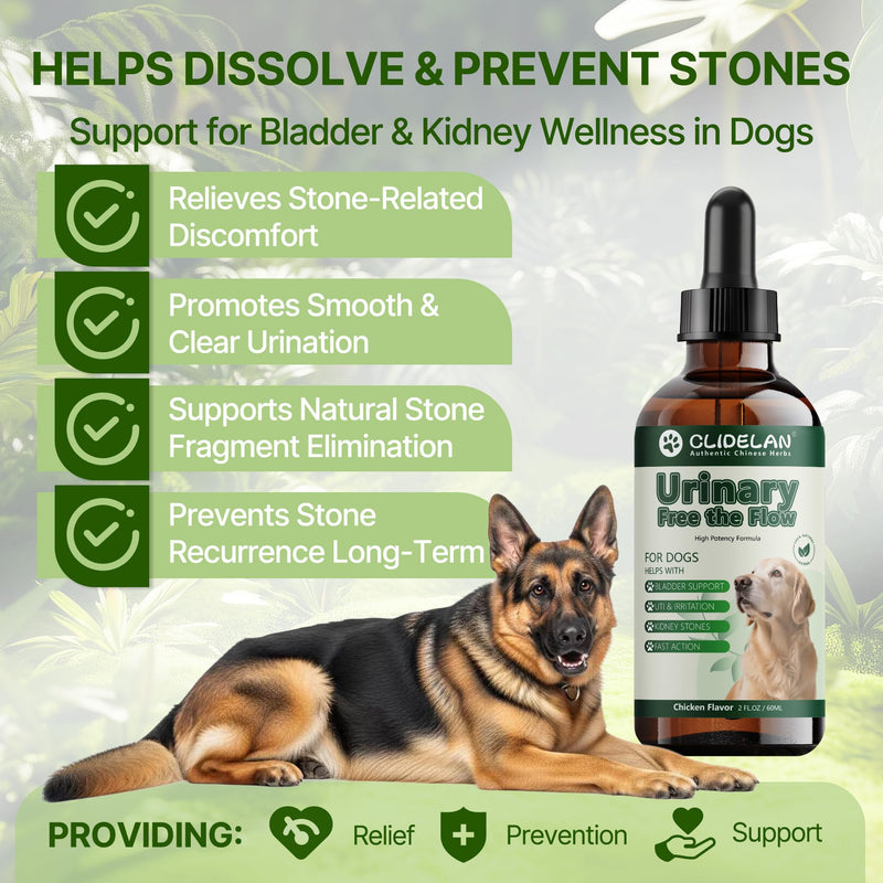 Bladder & Kidney Stones Dissolver for Dogs – Helps with Stone and Crystals Fragment Flush & Prevention – Natural Dog UTI Treatment, Herbal Vet-Formulated, Dog Urinary Tract Infection Treatment