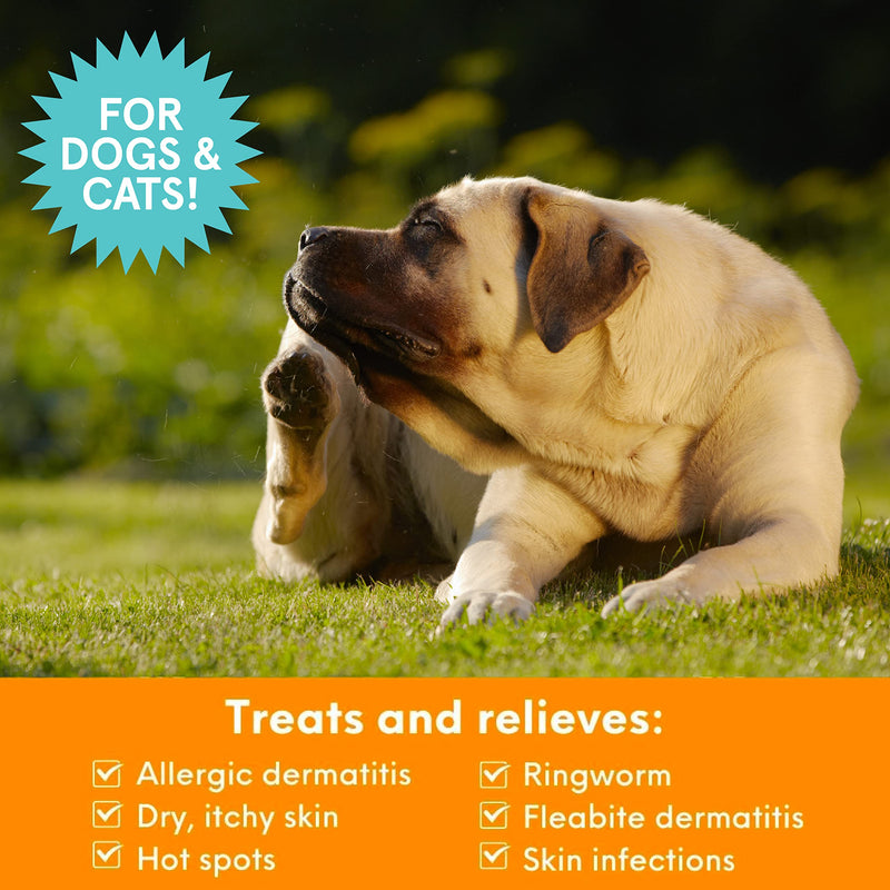 Nootie 70 Count Medicated Wipe and Shampoo Bundle - PawsPlanet Australia