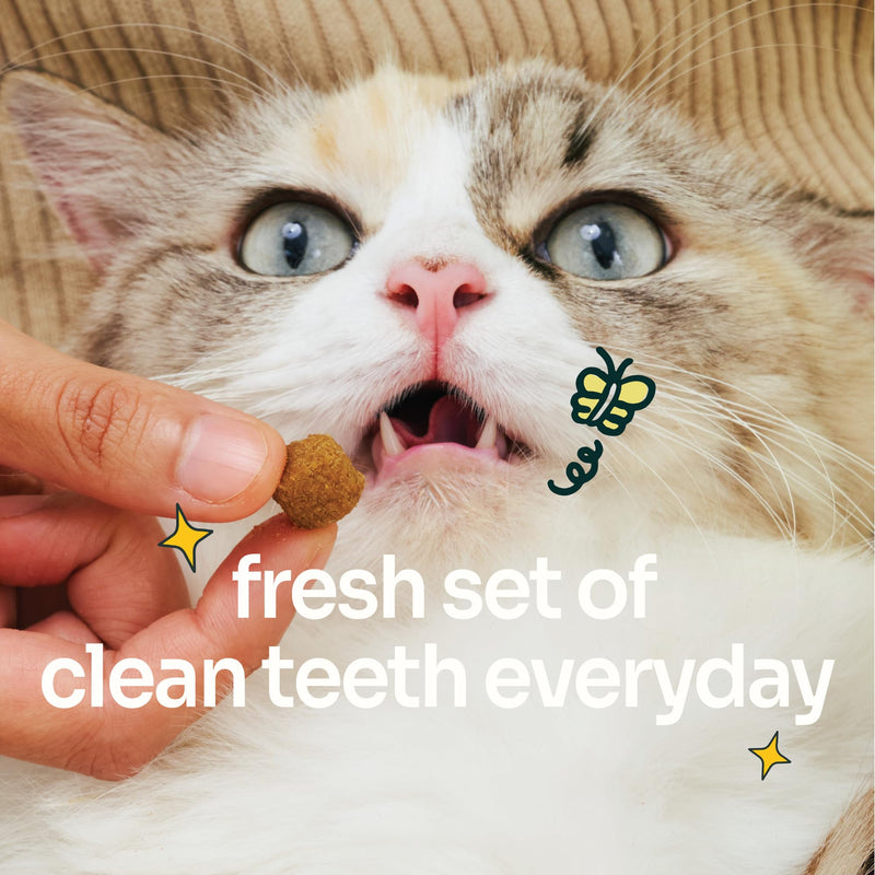 Notti Cat Dental Treats All Breed Cats - Probiotics - Supports Healthy Teeth, Gums, and Breath Odor in Cats - Freshen & Minimize Tartar - Chicken, Fish - Cellulose - Anti-Choke - Feline Adult Dental