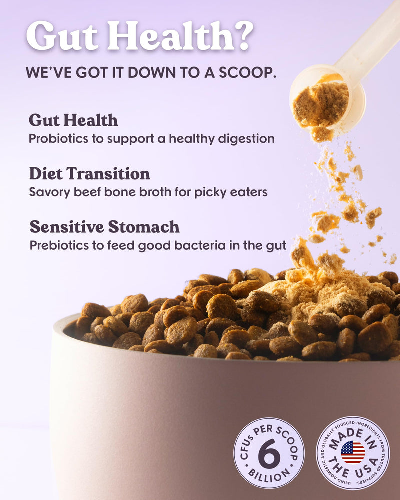 Bundle x Joy Daily Prebiotic & Probiotics for Dogs Boost - Gut Health Immune Formula with Beef Bone Broth for Dogs, 6 Billion CFU Dog Supplements, 35 Scoops, 4.8 oz - Made in USA