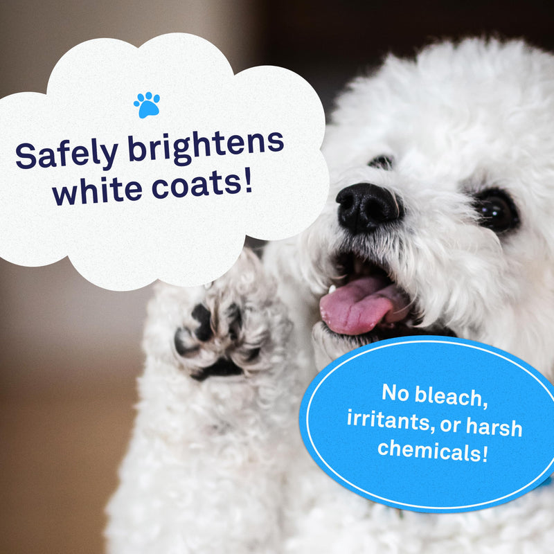 Petpost | Dog Whitening Shampoo - Best Lightening Treatment for Dogs with White Fur - Soothing Watermelon Scent - Maltese, Shih Tzu, Bichon Frise Approved 16 oz. 16 Ounce - PawsPlanet Australia