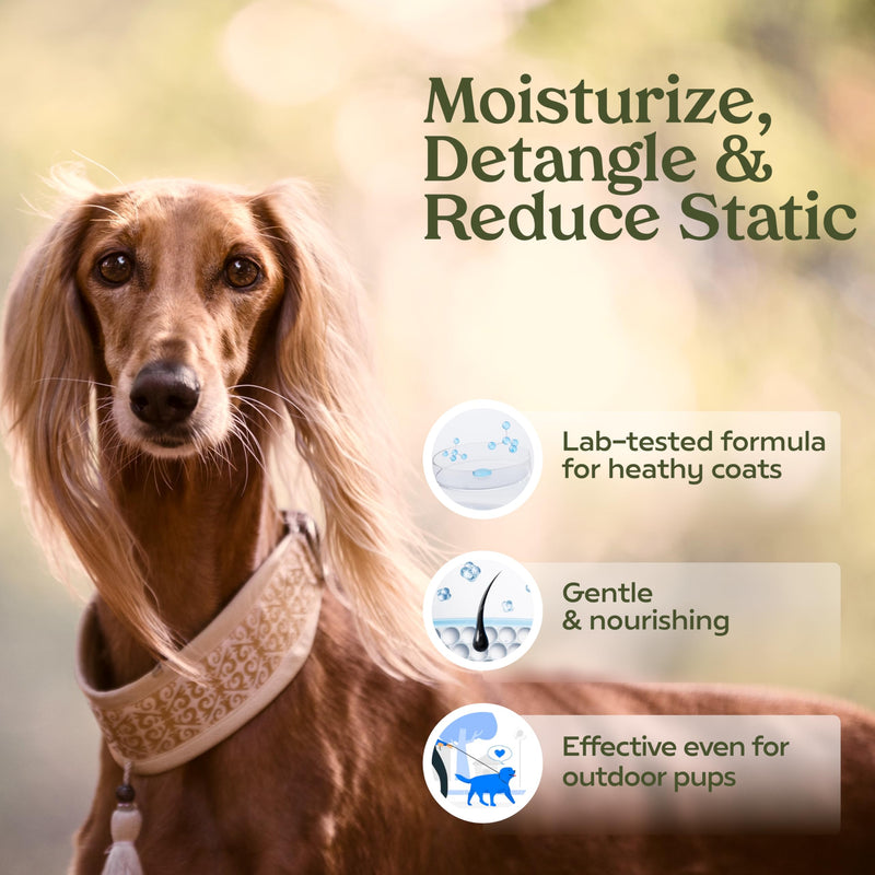 PAWFUME Grooming Dog Spray (Show Dog) + Ear Cleaner for Dogs + Moisturizing Dog Spray Lotion