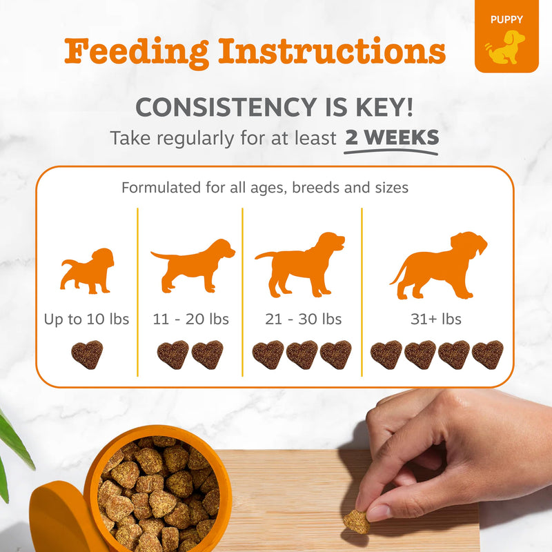 Zesty Paws Puppy Probiotics for Dogs - for Digestive Health, Gut Flora & Immune System Support - Dog Probiotics for Puppies with Bacillus subtilis & Pumpkin - 90 Count Pumpkin - Puppy