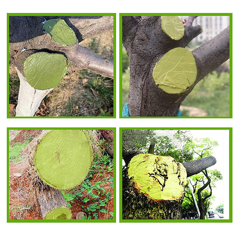 Tree Wound Sealer, Tree Pruning Sealer, Tree Grafting Supplies, Tree Wound Sealer Healing Paste, Bonsai Cut Paste, Pruning Sealer And Tree Wound Dressing for Trees, Shrubs, Roses (1Pcs*100g +1*Brush) 1pcs*100g +1*brush