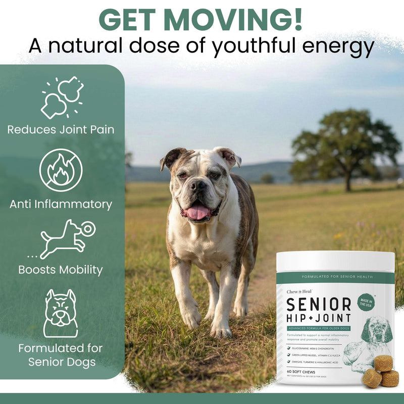 Chew + Heal Labs Glucosamine for Dogs Hip and Joint Supplement - 60 Senior Dogs Mobility Soft Chews - Made with Glucosamine, MSM, Chondroitin, Green Lipped Mussels and More - Made in The USA Chicken 60 Count