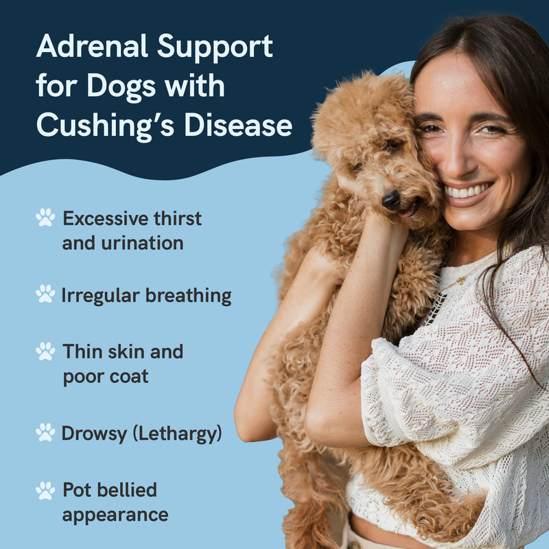 Prana Pets Adrenal Support Naturally Relieves Symptoms of Cushings Disease in Dogs | Licorice Free Herbal Formula Safely Promotes Healthy Adrenal Function and Overall Wellbeing 1 Pack - PawsPlanet Australia