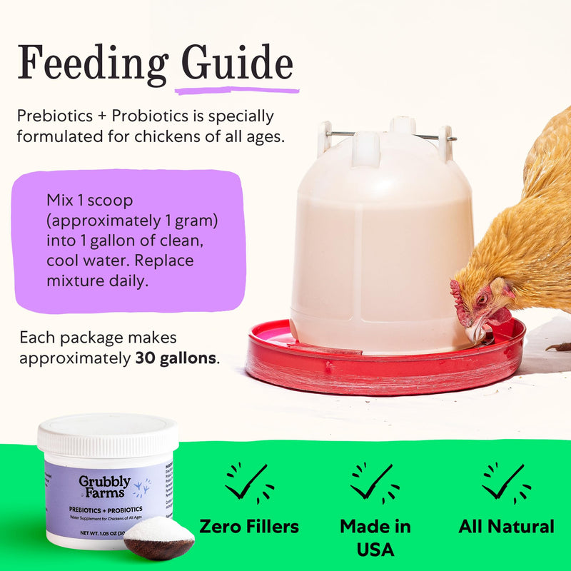Grubbly Farms Prebiotics + Probiotics for Chickens (30 Day) 30 Day