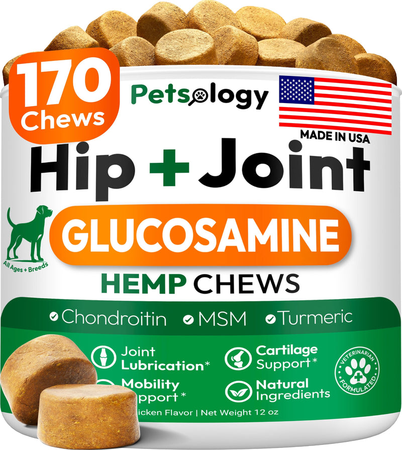 Hemp Hip and Joint Supplement for Dogs - Glucosamine for Dogs - 170 Mobility Support Chews - Advanced Joint Pain Relief Treats with Chondroitin, MSM, Turmeric - Large & Small Breeds - Made in USA 170 Chews