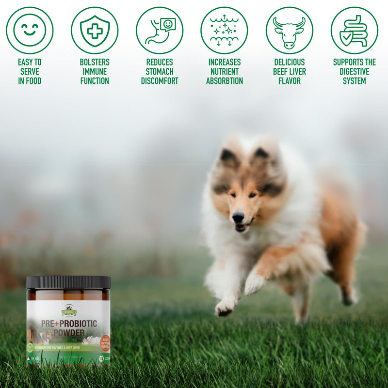 Strawfield Pets Pre + Probiotic Powder for Dogs with Digestive Enzymes Dog Probiotics for Yeast, Itchy Skin and Itchy Ears Natural Beef Liver Flavor 120 Scoops