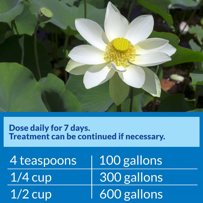 PondCare® PimaFix Antifungal Remedy for Koi & Goldfish (16 oz.)
