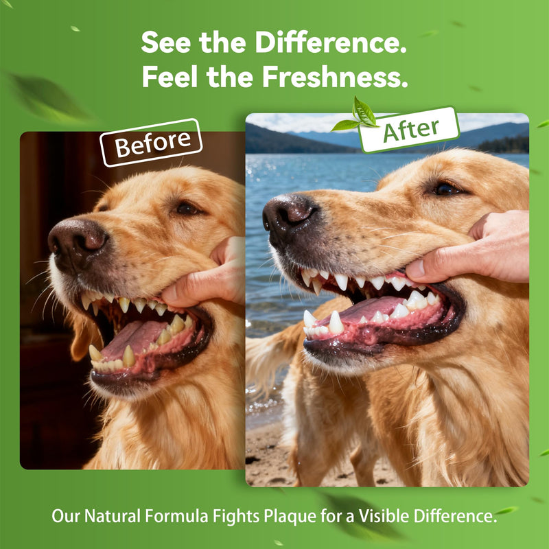 Dog Dental Powder for Plaque and Tartar Support - No Brushing Teeth Cleaning Powder with Probiotics & Natural Kelp | Fresh Breath Dog Oral Care for All Breeds | 1.76oz (50g) 1.76 oz
