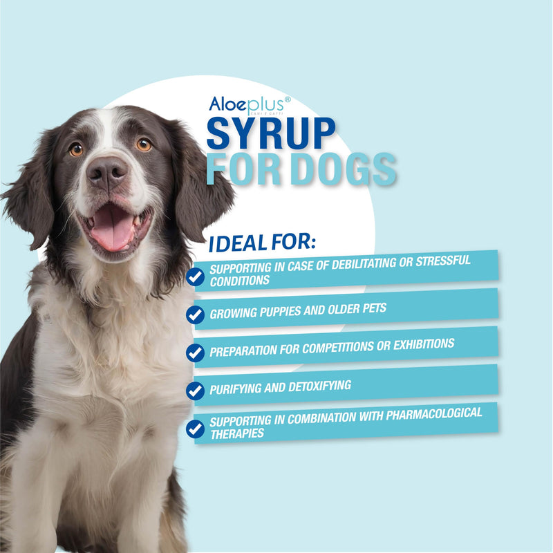 Dog Syrup 150ml - Complementary Energy and detoxifying Food Based on Organic Aloe Arborescens, Strengthens Natural defenses, Ideal as a Tonic for Senior Dogs and Puppies.