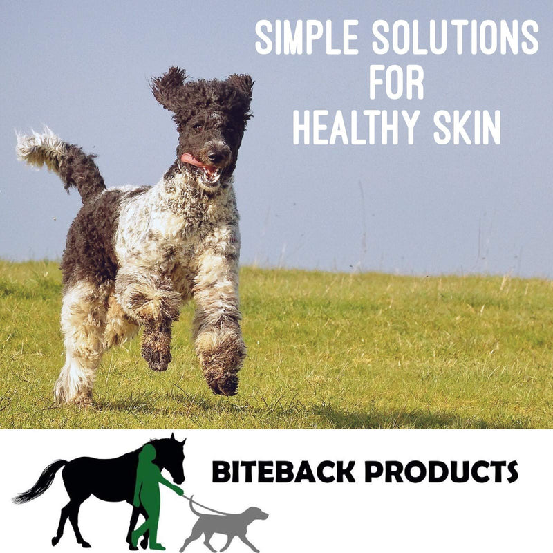 Biteback Products 'Sweet Relief Silver' Support Cream For Sensitive Skin, Minor Wounds & Rubs (Horse & Dog) 500g - PawsPlanet Australia