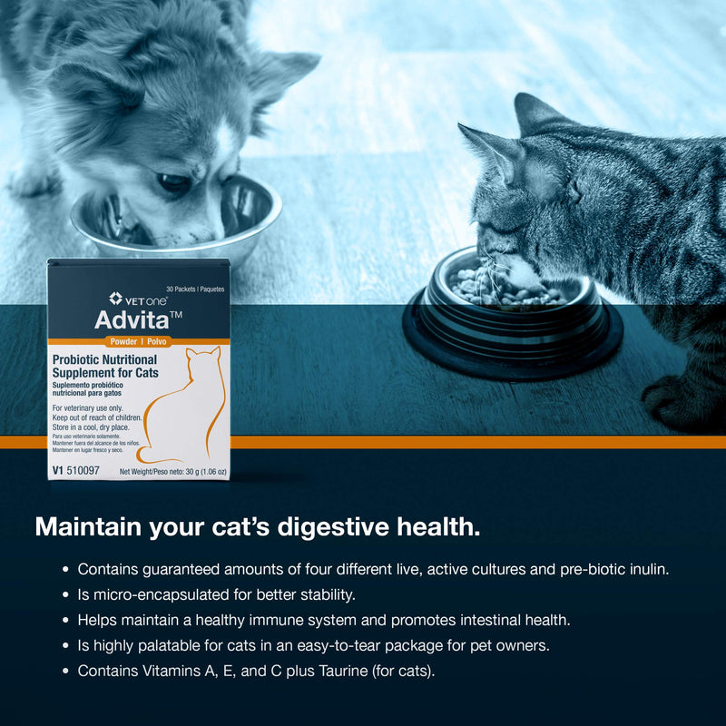 Vet One 840235149170 VetOne Advita Probiotic Nutritional Supplement Powder for Cats (2 Pack)