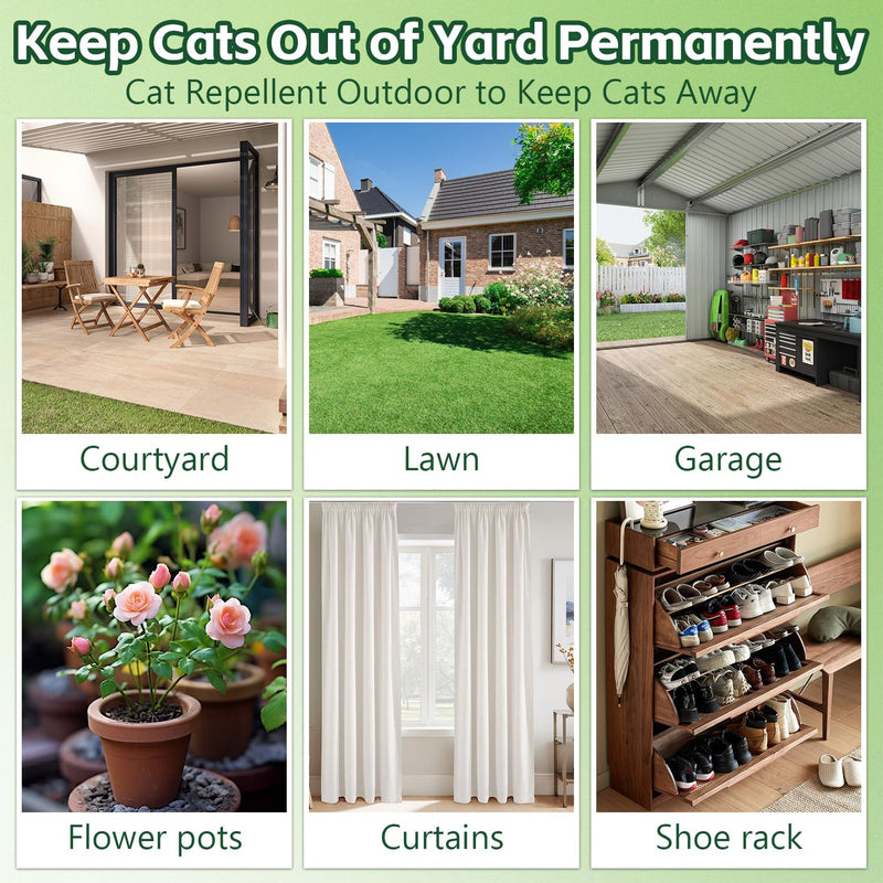 Cat Repellent Outdoor to Keep Cats Away (12Pack) Natural Peppermint Oil Cat Deterrent Outdoor and Indoor (Green) Green