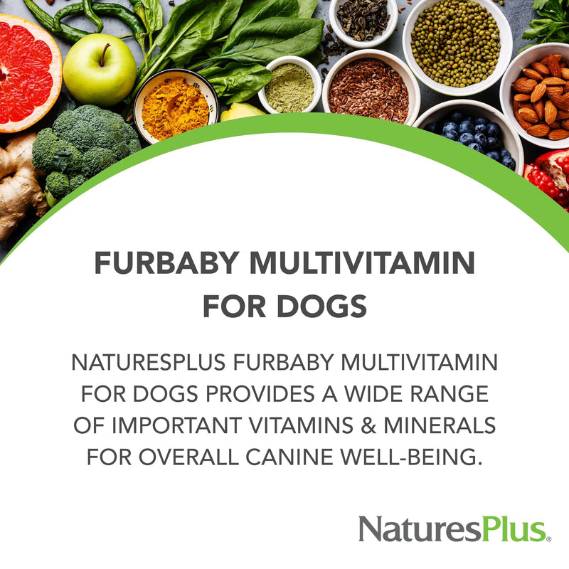 NaturesPlus FurBaby Multivitamin for Dogs - 10.4 oz - Supports Joint Health, Immune Function, Healthy Coat & Energy Production - Non-GMO - 60 Servings - PawsPlanet Australia