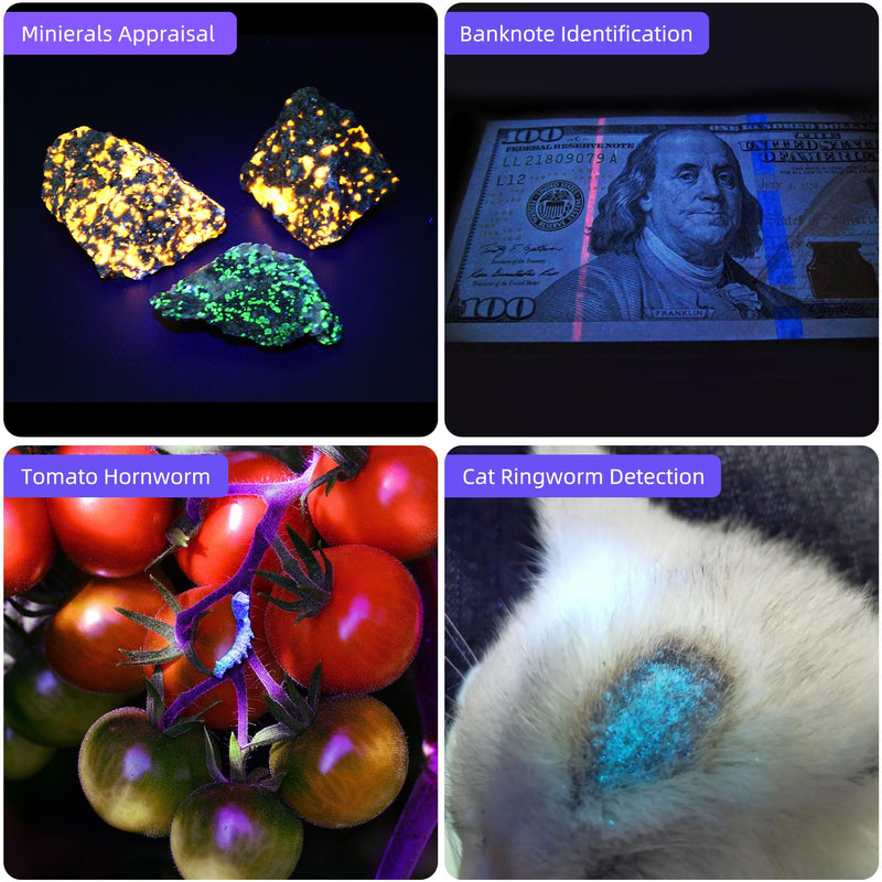 DARKBEAM UV Flashlight 365nm Light and 395nm Blacklight, Mini Powerful Woods Lamp USB-C Rechargeable, LED Ultraviolet Flashlights Pet Urine Detector for Rock, Uranium Glass, Resin Curing, 2 Pack