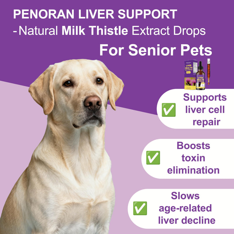 Milk Thistle for Dogs Liver Health & Detoxification, Vet Approved | Especially beneficial for senior dogs & cats, Repairs Damaged Tissue, Prevent Fat Buildup, Metabolic Capacity