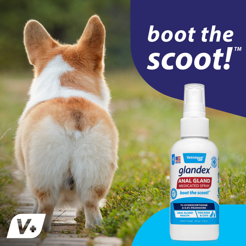 Glandex Anal Gland Medicated Spray for Dogs & Cats (4oz) and Glandex Anal Gland Support Chews 60 Ct Bundle Dog Deodorizing Spray & Anti-Itch Spray for Dogs, Anal Gland Dog Treats with Probiotics - PawsPlanet Australia