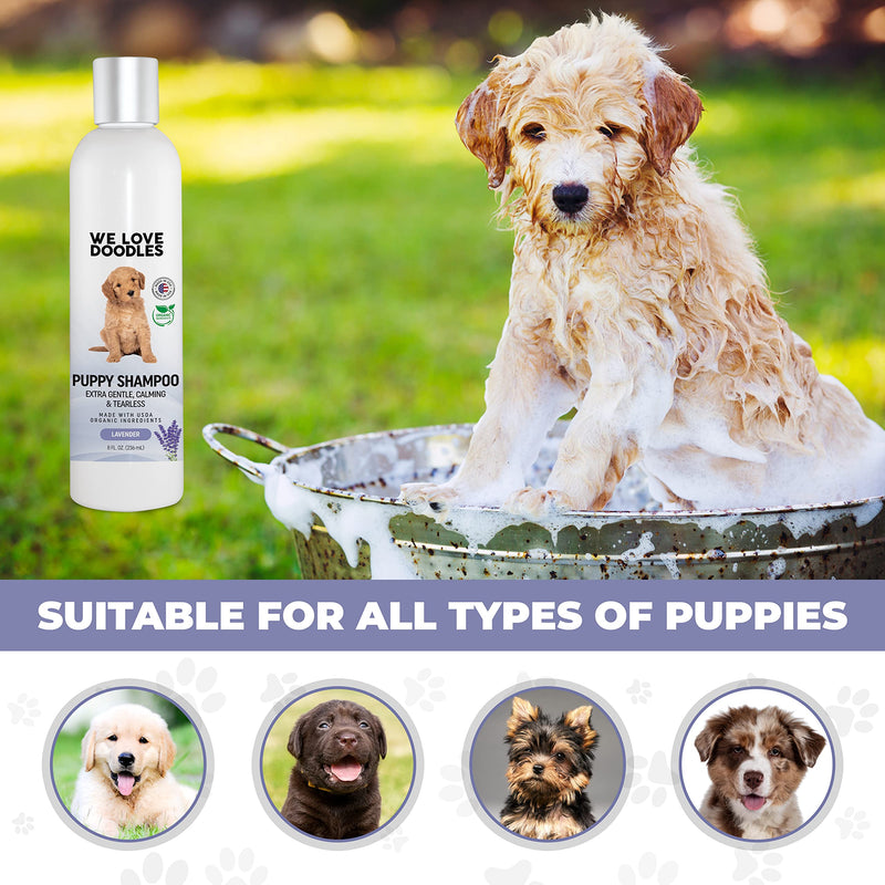 We Love Doodles Puppy Shampoo (Lavender) & 4-in-1 Shampoo (Lavender) Bundle - Puppy Shampoo and Conditioner & 4-in-1 Shampoo Kit - Tear Free & Best Smelling - Made in USA - PawsPlanet Australia