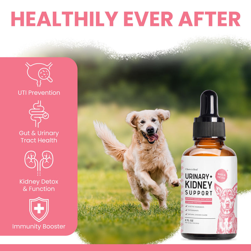 Urinary and Kidney Support for Dogs with - 2 oz of Kidney and Cranberry Supplement - Dogs UTI Treatment for Urinary Tract Health and Immune Function - Made in the USA