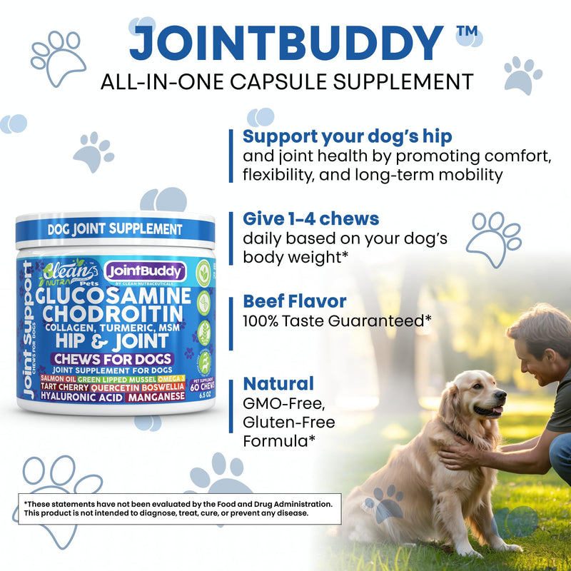 JointBuddy Glucosamine Chondroitin Joint Supplement for Dogs Salmon Oil MSM Tart Cherry Omega 3 6 9 Fish Oil Hyaluronic Acid Supplements & Collagen for Dogs 60 Chews Beef Flavor by Clean Nutra Pets