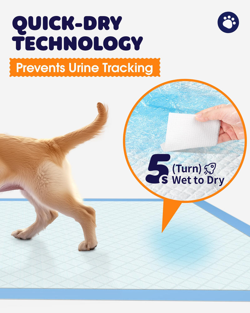 Puppy Pads - Super Absorbent & Spill-Proof Pee Pads for Dogs with 6-Layer Material, Quick-Dry & Hassle-Free Potty Pads for Floors, Furniture, Vehicle, 22" × 22", 100 Packs 22" × 22" - 100 Packs