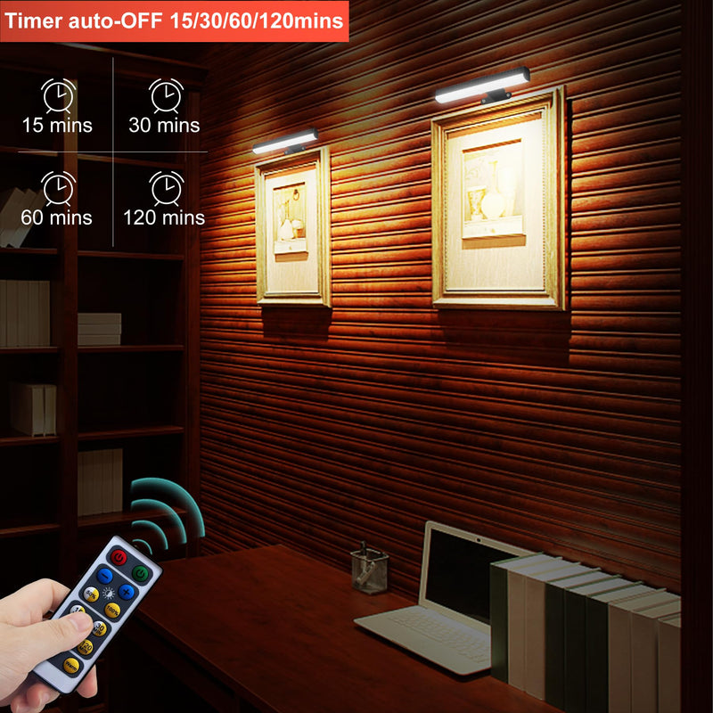 2 PACK Picture Light Battery Operated Painting Light with Remote, 3Lighting Modes Art Light for Wall Pictures Posters,Dimmable Timer Set Display Accent Light for Picture Frame Dart Gallery Portrait