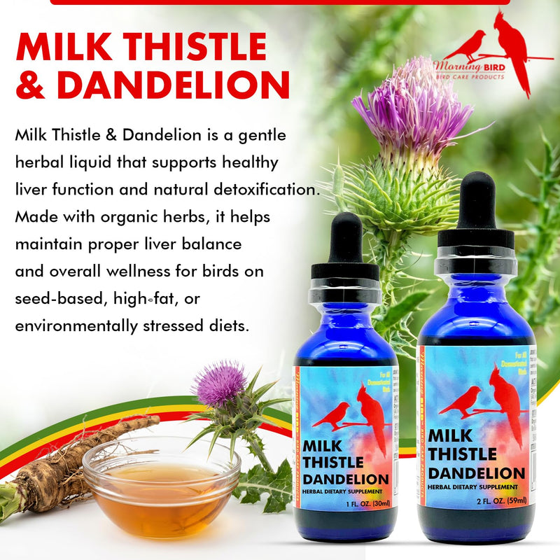 Morning Bird Milk Thistle & Dandelion Extract 2 fl oz – Organic Herbal Supplement for Birds – Supports Liver Health & Natural Detox – Suitable for All Bird Species