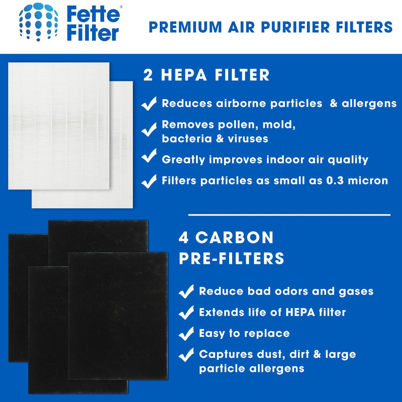 AP-1512HH Premium H13 True Hepa Filter for Coway Mighty & Airmega 200M 2 Count (Pack of 1)