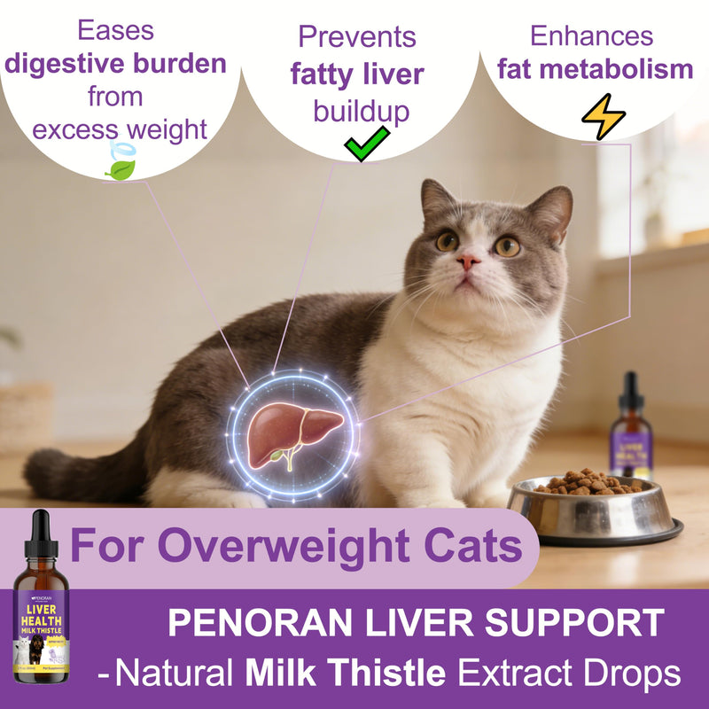Milk Thistle for Dogs Liver Health & Detoxification, Vet Approved | Especially beneficial for senior dogs & cats, Repairs Damaged Tissue, Prevent Fat Buildup, Metabolic Capacity