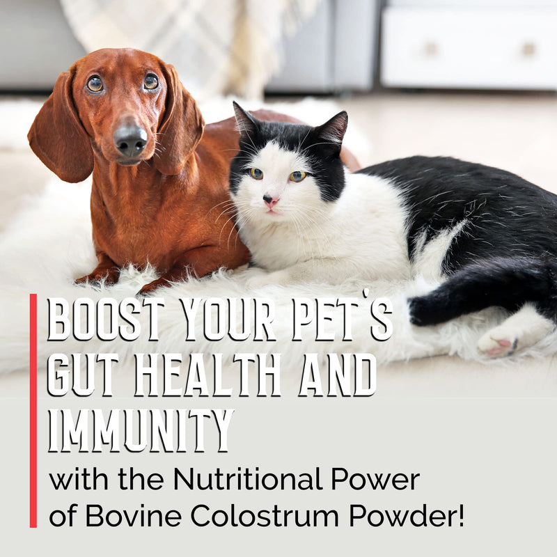 Bovine Colostrum for Dogs and Cats, Organic Immune Support Supplement for Allergy and Itch Relief, Grass Fed Colostrum Powder for Pets, Dog Gut Health, All Ages, 8 oz 8 oz Pet - PawsPlanet Australia