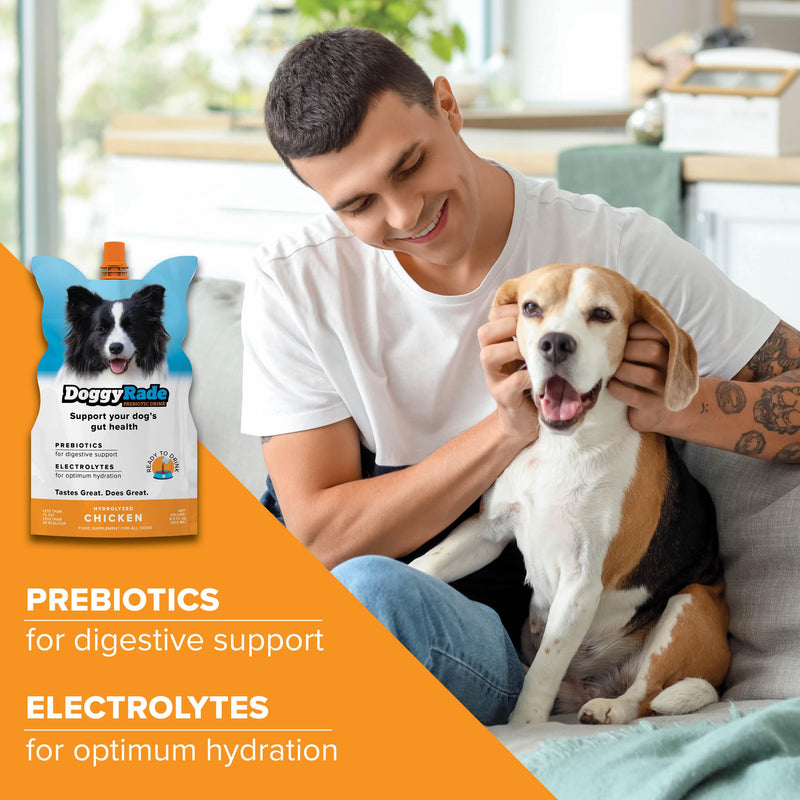 DoggyRade – Dog Sports Drink (Prebiotic, Isotonic Drink for Dogs) | Electrolytes, Nutrients & Amino Acids | Quick Hydration Drink for Dogs + Low Cal | More Than Just Water! | Chicken Flavor | 3x250ml DoggyRade (250ml x 3)