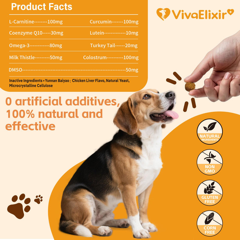 Lipoma Treatment for Dogs – L-Carnitine Helps Maintain Fat Metabolism, Energy, and Vitality; Turkey Tail, Reishi, Curcumin, and Coenzyme Q10 Help Promote Cellular, Immune, and Overall Health
