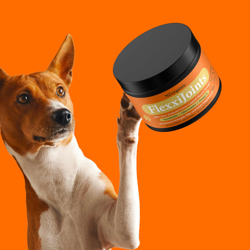 NZorganix FlexxiJoints 100% New Zealand Green-Lipped Mussel Powder, Hip & Joint Support Formula for Dogs & Cats, with Glucosamine, Chondroitin 100g (300 Servings) - PawsPlanet Australia