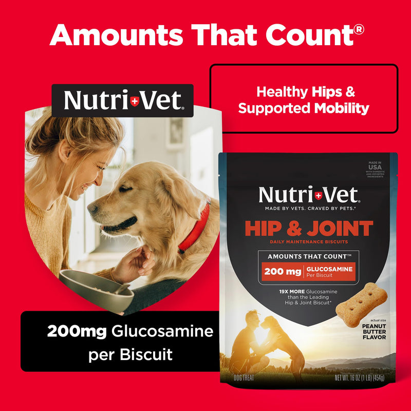 Nutri-Vet Hip & Joint Biscuits for Dogs, Tasty Glucosamine Treat, Puppy Supplements, Dog Joint Supplement, Small Sized Biscuit with 200mg Glucosamine, Puppy Essentials, Peanut Butter Flavor, 16 oz 16 Ounce (Pack of 1)