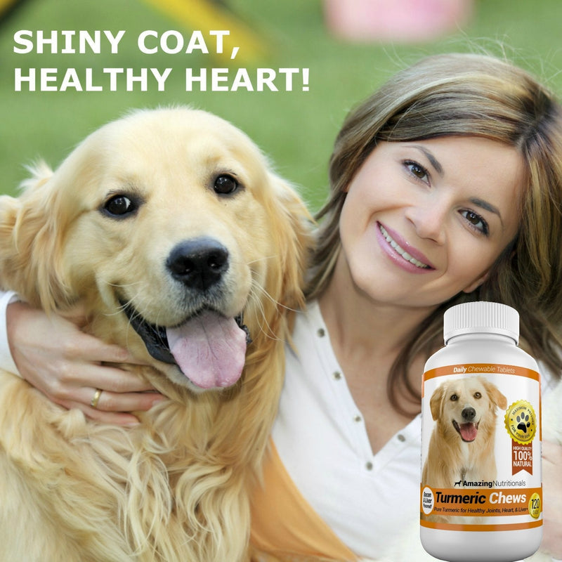 Amazing Turmeric for Dogs Curcumin Pet Antioxidant, Eliminates Joint Pain Inflammation, 120 Chews - PawsPlanet Australia