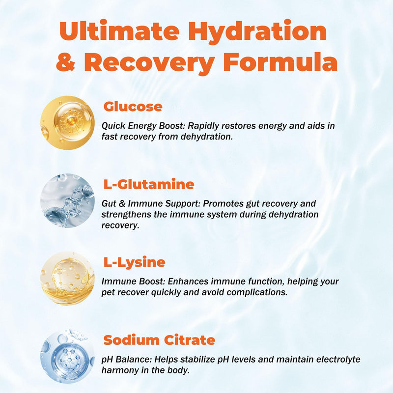Electrolytes for Dogs – Vet-Formulated Hydration Supplement– Supports Post-Surgery & Illness Recovery– Helps Replenish Fluids & Electrolytes Lost from Diarrhea, Vomiting & Poor Appetite